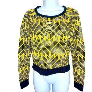 Urban Outfitters Ecote Crop Sweater